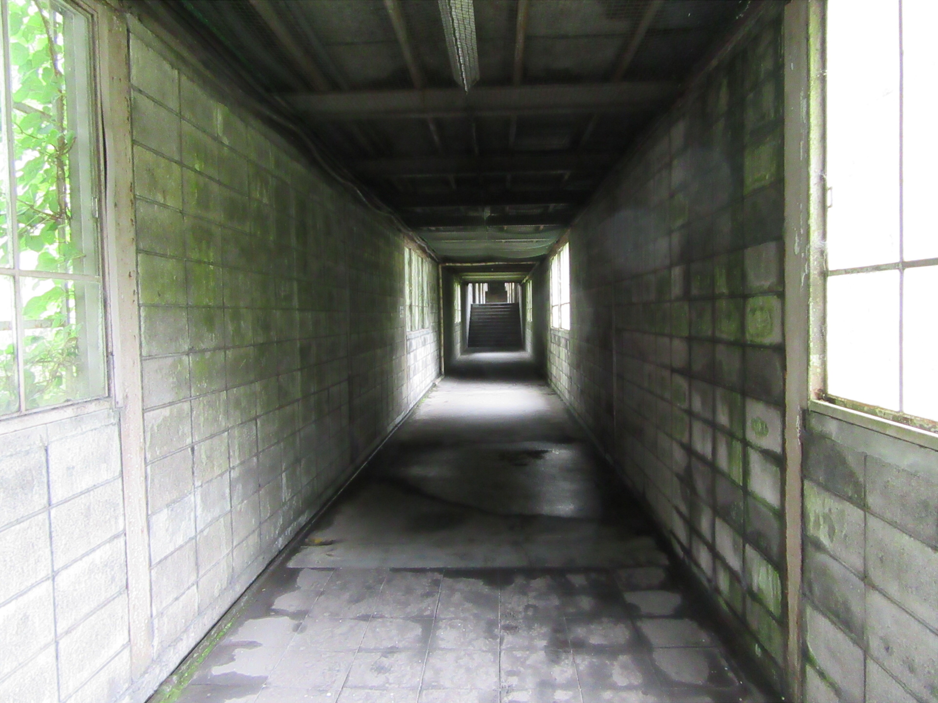 【画像】下り地下ホームに続く通路２